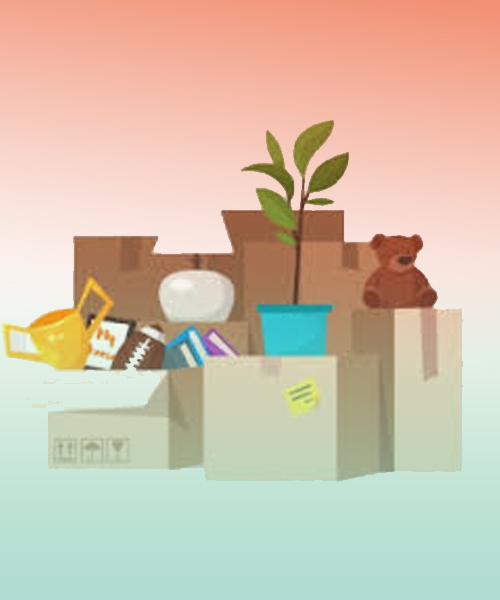 A P L Logistic Packers & Movers