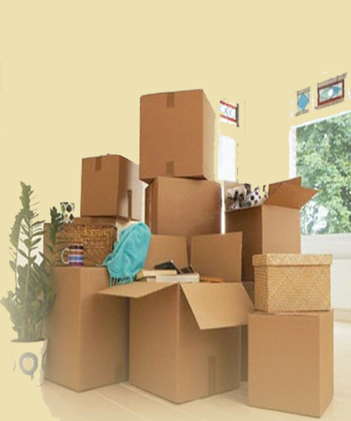 A P L Logistic Packers & Movers
