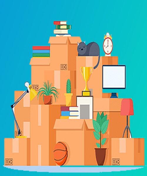 A P L Logistic Packers & Movers